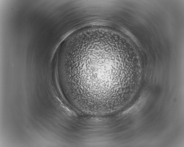 X0000076070829200609221154