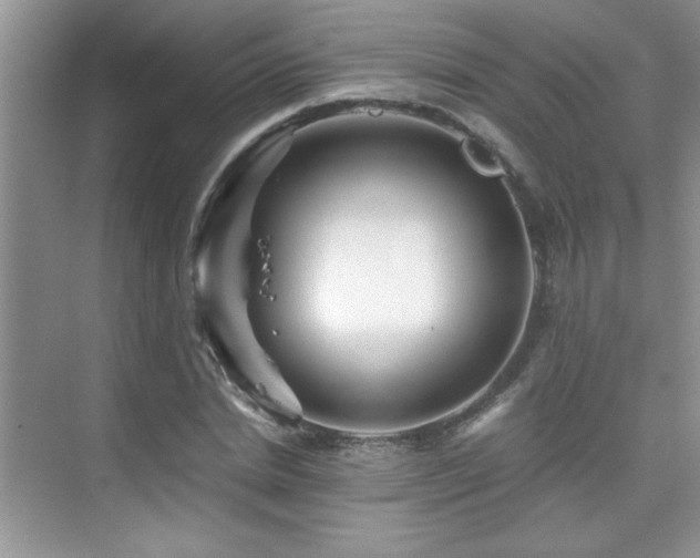 X0000076070830200609221154