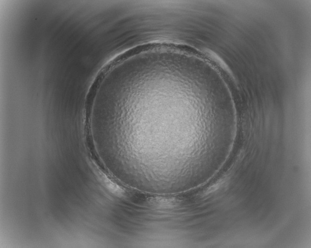 X0000076070831200609221154