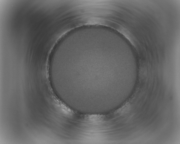 X0000076070832200609221154