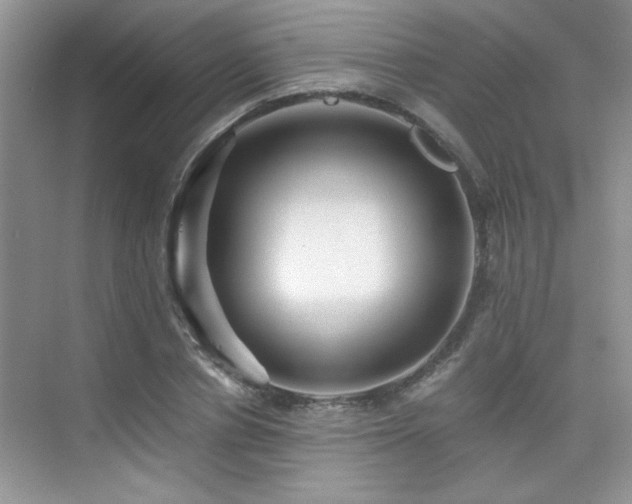 X0000076070834200609221154