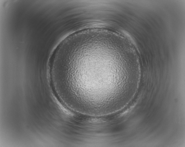 X0000076070835200609221154