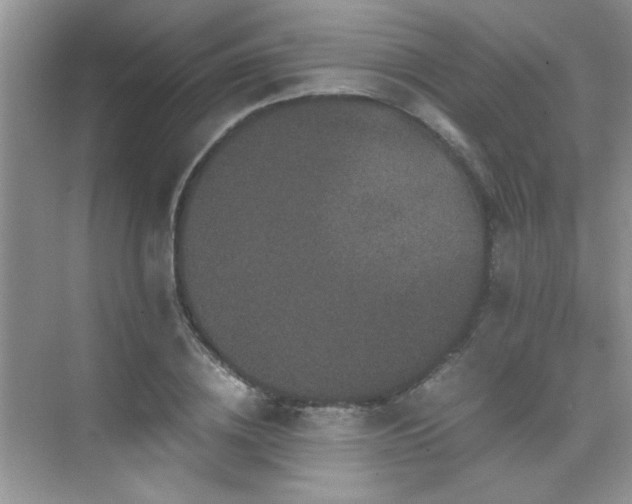 X0000076070836200609221154