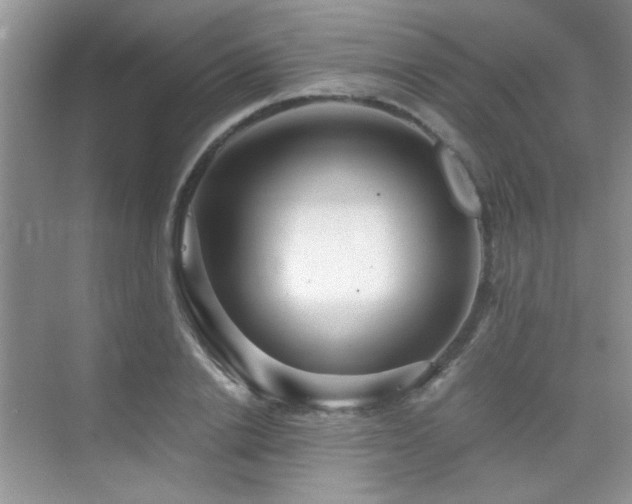 X0000076070838200609221154