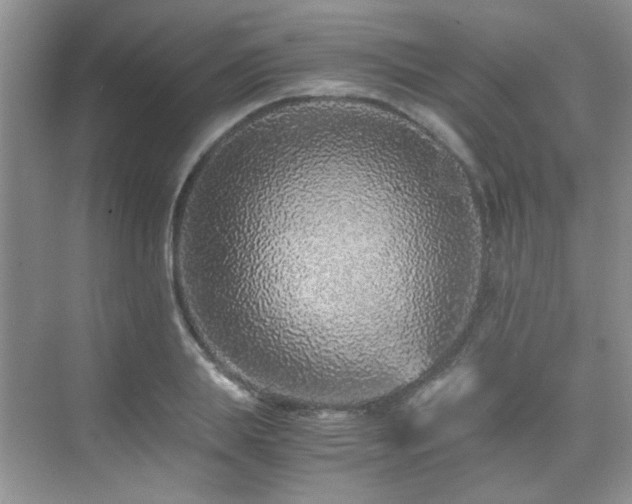 X0000076070839200609221154