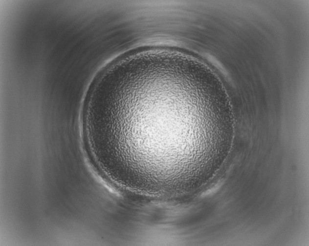 X0000076070840200609221154