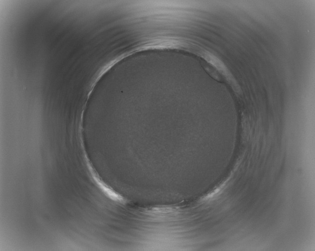 X0000076070842200609221154