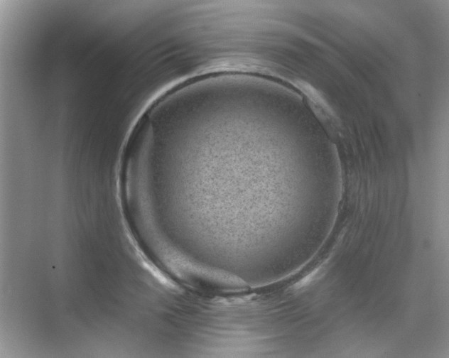 X0000076070846200609221154