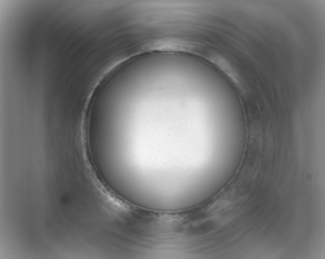 X0000076070848200609221154