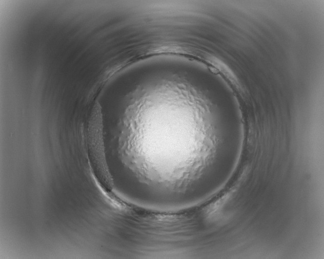 X0000076070849200609221154