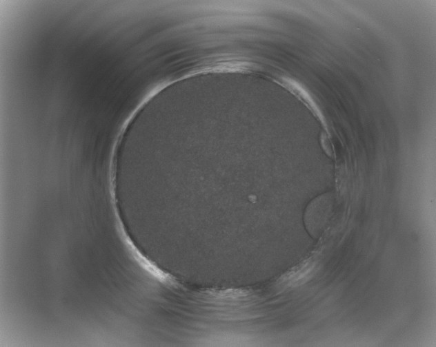 X0000076070851200609221154