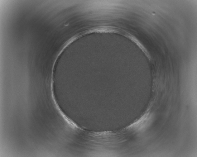 X0000076070853200609221154