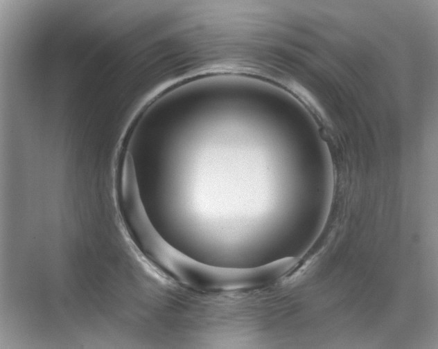 X0000076070854200609221154