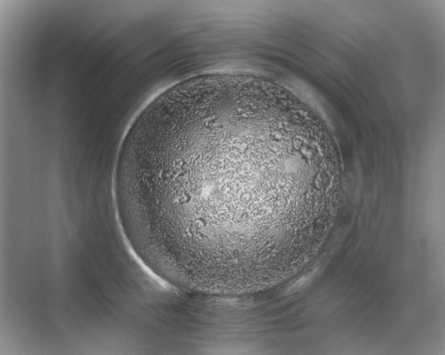 X0000076070855200609221154