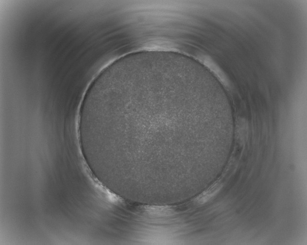 X0000076070856200609221154