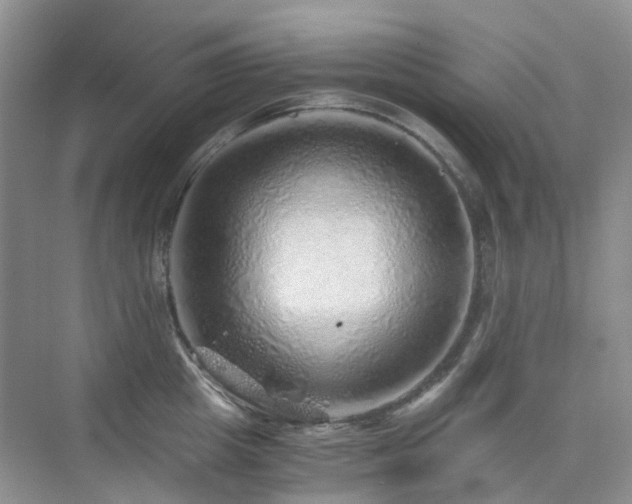 X0000076070857200609221154