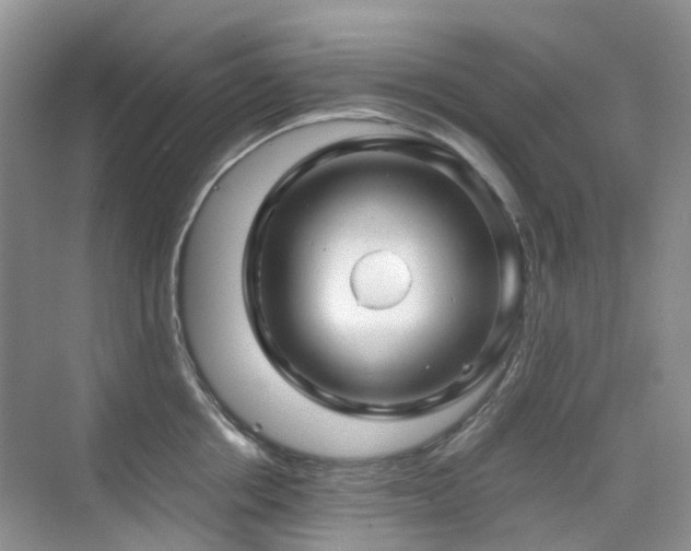 X0000076070858200609221154