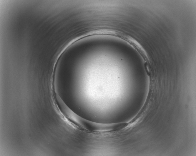 X0000076070860200609221154