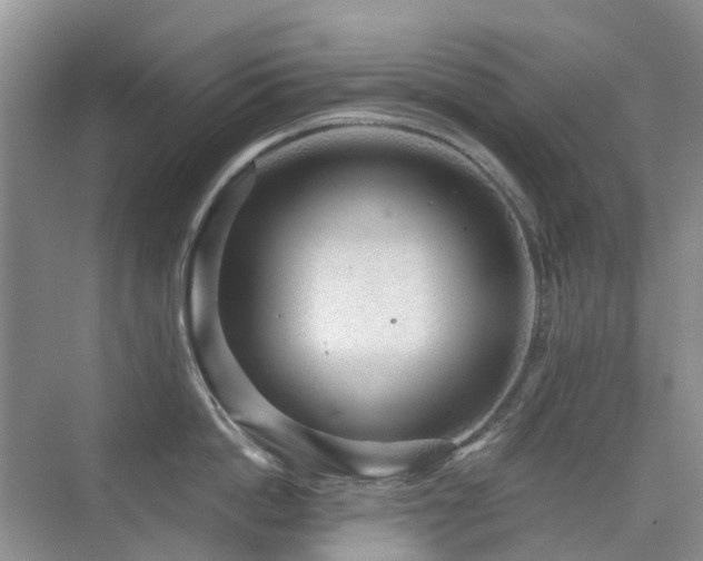 X0000076070862200609221155