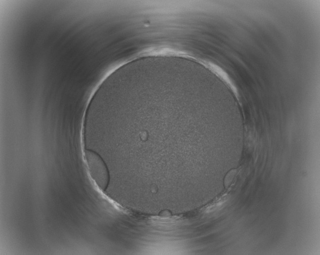 X0000076070863200609221155