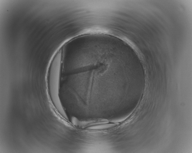 X0000076070864200609221155