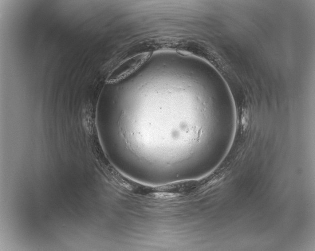 X0000076070867200609221154