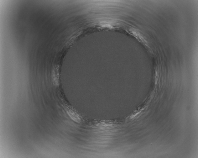 X0000076070868200609221154