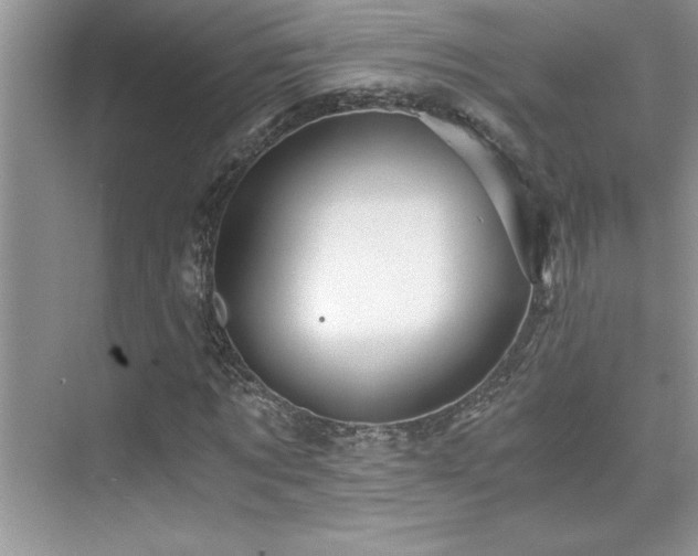 X0000076070869200609221154