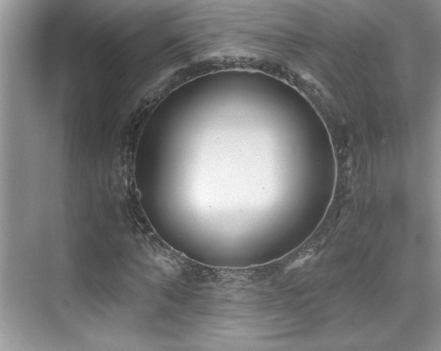 X0000076070870200609221154