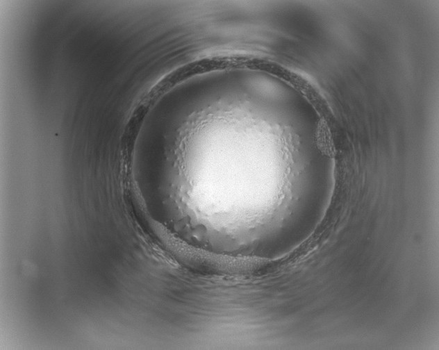 X0000076070871200609221154