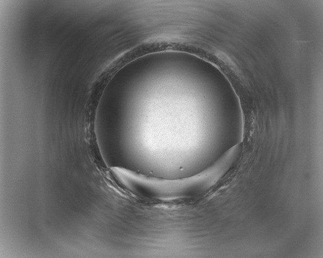 X0000076070872200609221154