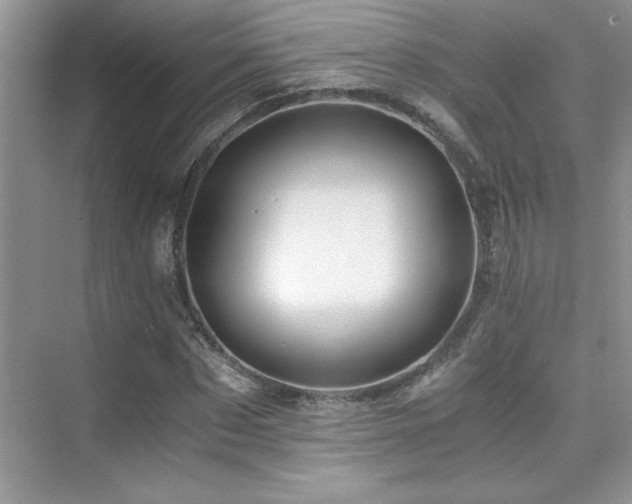 X0000076070873200609221154