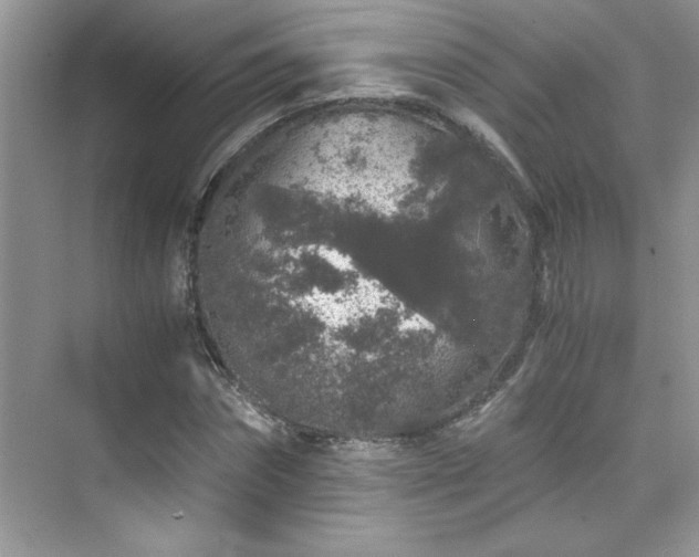 X0000076070874200609221154