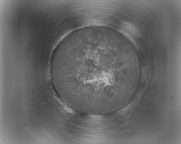 X0000076070878200609221154