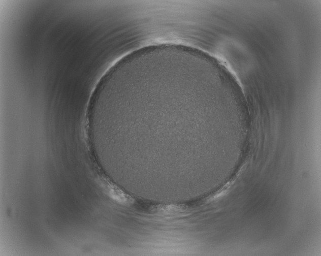 X0000076070879200609221154