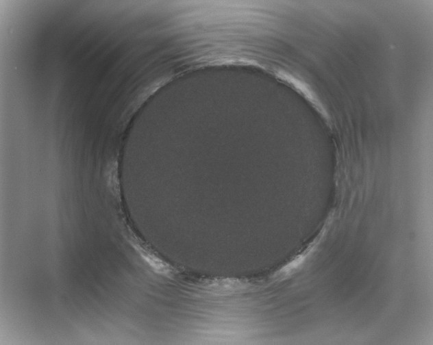 X0000076070881200609221153