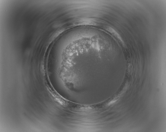 X0000076070882200609221153