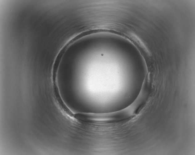 X0000076070884200609221153