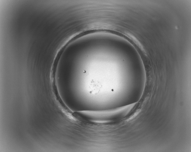 X0000076070885200609221153