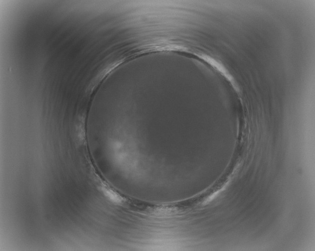 X0000076070889200609221153