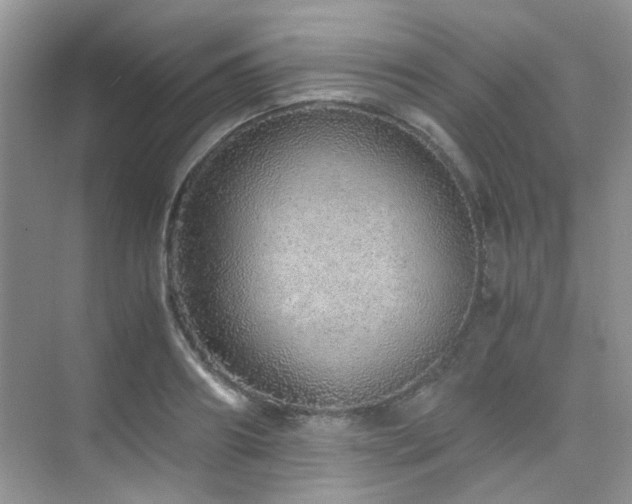 X0000076070890200609221153