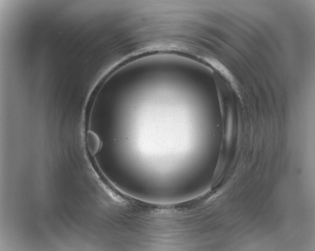 X0000076070894200609221153