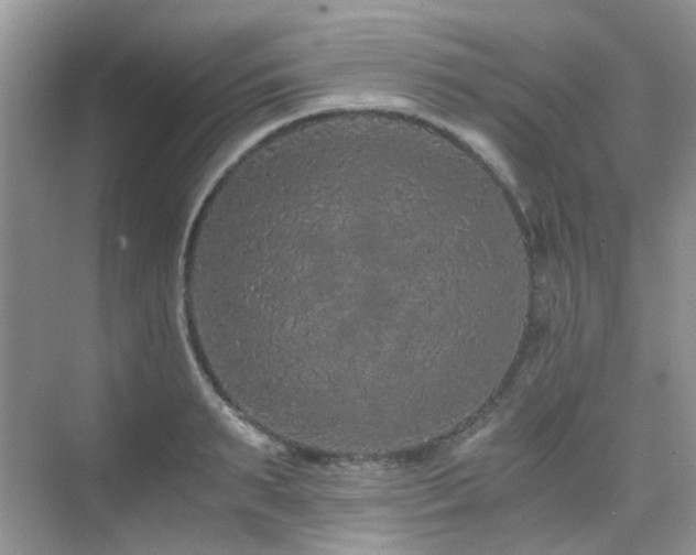 X0000076070895200609221153