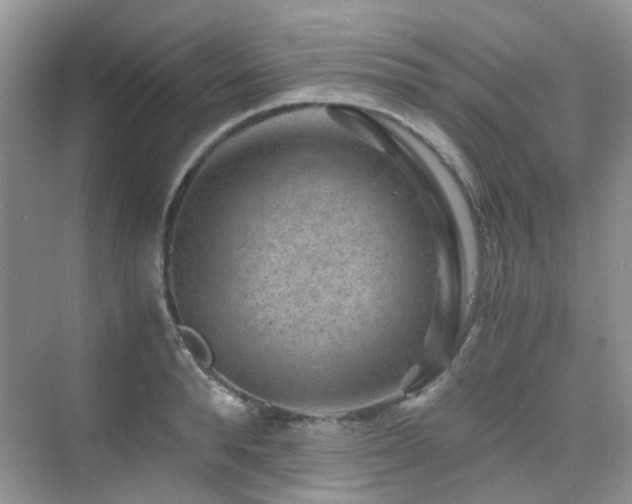 X0000076070896200609221153