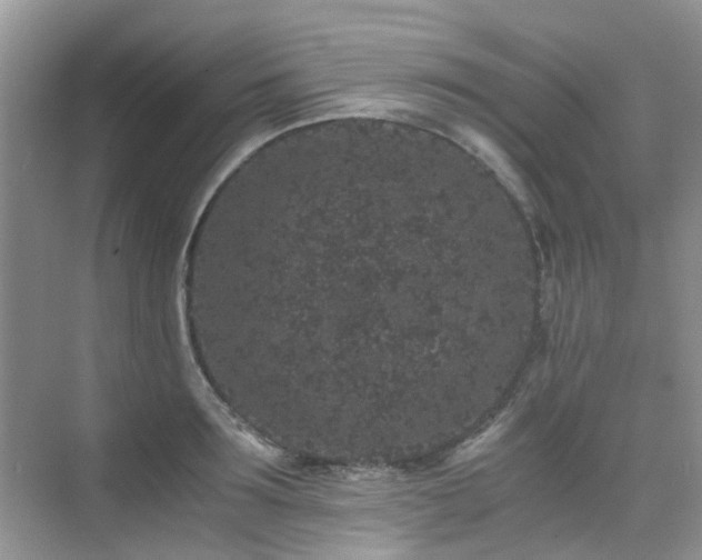 X0000076070899200609221153