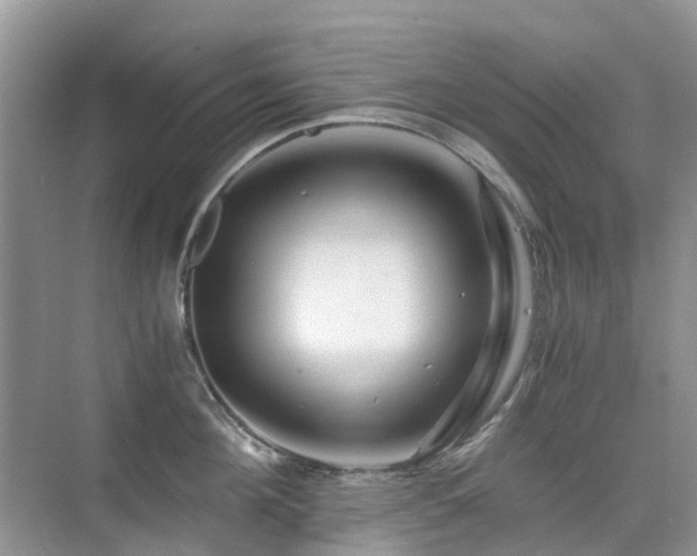 X0000076070908200609221153