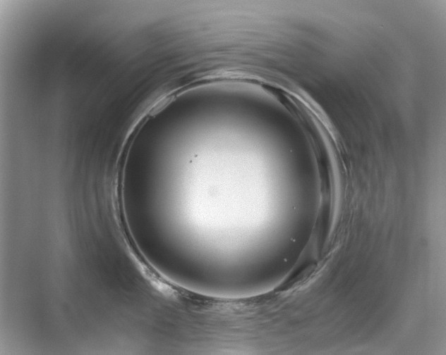 X0000076070909200609221153