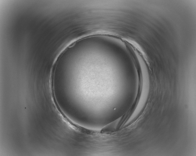 X0000076070910200609221153