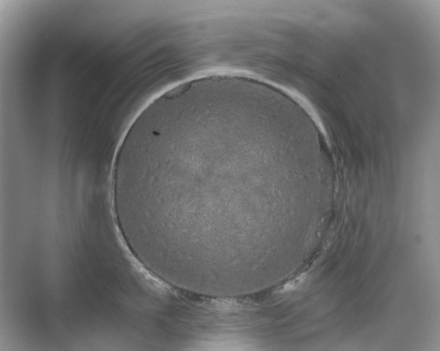 X0000076070911200609221153