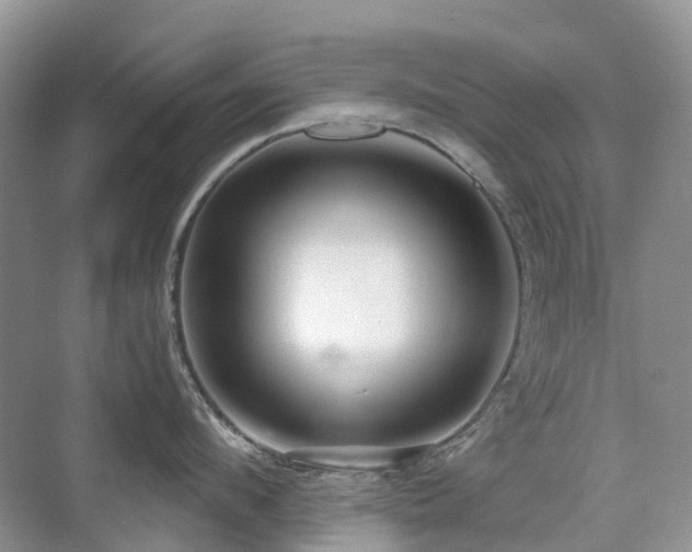 X0000076070912200609221153